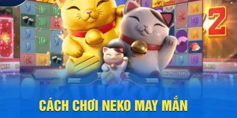 Cách để chinh phục bộ môn Neko